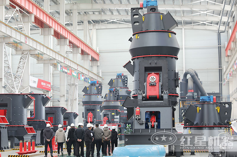 客戶一行來(lái)廠考察生石灰磨粉設(shè)備